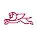 Roncalli Catholic (@rchspride) Twitter profile photo Roncalli Catholic (@rchspride) Twitter profile photo