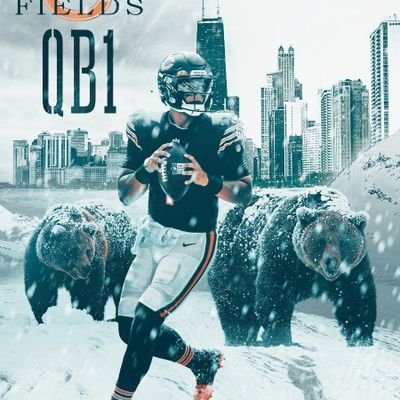 🐻⬇️