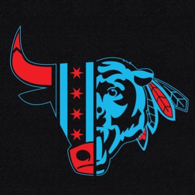 I love the #bulls #bears #blackhawks #cubs 📍Illinois!!! I love sports