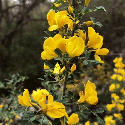 MehmetK82272931's profile picture. Yok