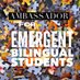 Ambassador for Emergent Bilingual Students (@TX_EBstudents) Twitter profile photo