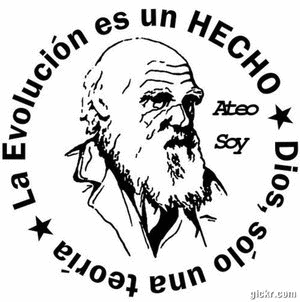 La iglesia católica es inmensamente rica. Esta libre de impuestos y la inmensa mayoría de sus bienes y de sus cuentas son totalmente opacas.