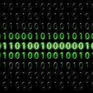 BinaryBot010's profile picture.