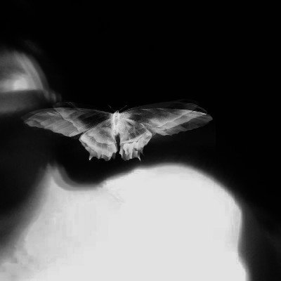 ¹³/⁰²/²⁰
ᵐᵉʷˢᵘᵖᵖᵃˢⁱᵗ * ᵍᵘˡᶠᵏᵃⁿᵃⁿʷᵘᵗ * ᵍᵉˡᵉʳ.ᵏ * ˡᵃᶻⁱᶜᵒⁿ * ˡᵃᶻ ¹
ᵘⁿᵈᵉʳ ᵗʰᵉ ˢᵃᵐᵉ ˢᵏʸ 𖦹
#tmgmemo #LAZER