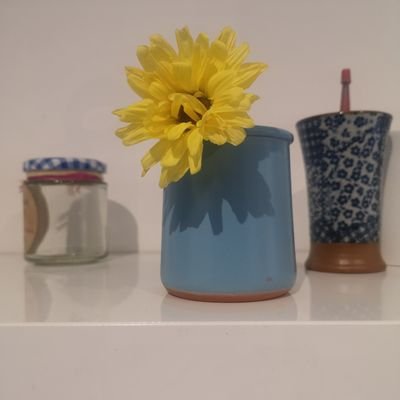 CarmelMcLough12's profile picture. Working for a Greener, Safer, Kinder London in a post Brexit World.  Passionate about being part of Europe. End the war in Ukraine. RT not agreement.