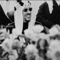 مضاوي فيصل العريعر (@mfmn_aloraier) 's Twitter Profile
