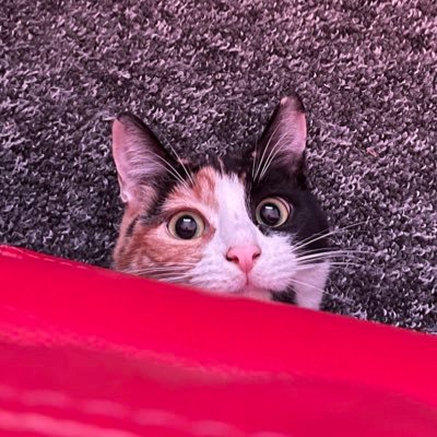 Anto;- -さんのプロフィール画像