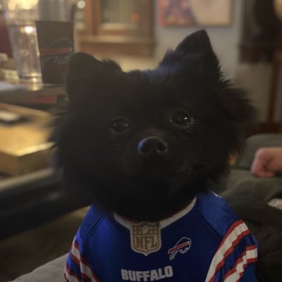 I love hairless dogs, food, trademarks, equity, justice, and the Buffalo Bills.