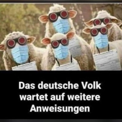 Unclemeat111's profile picture. 