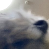 アrキメ (@mochmoch_m) 's Twitter Profile