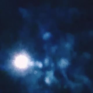 zvr_m's profile picture. @PartiSocHateacc