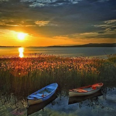 Roozbeh778's profile picture. Astronomy Enthusiast, Green Energy Activist