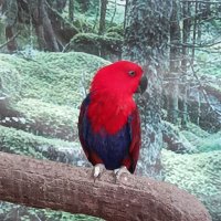 Ken De Josh ˢᵇ 0838 (@kendejosh) 's Twitter Profile