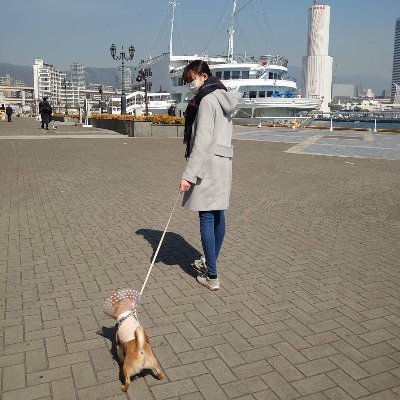 大学4年生 大学は東京、実家は神戸で言ったりきたりしています
アセクシュアルかも?と思い、アセクシュアルに関する卒業研究に励んでます。