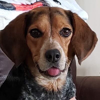 bailey122321's profile picture. Whatever doesn't kill me makes me stronger.