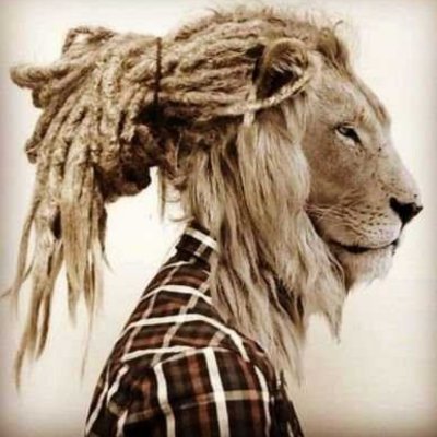 EyeKv1's profile picture. 