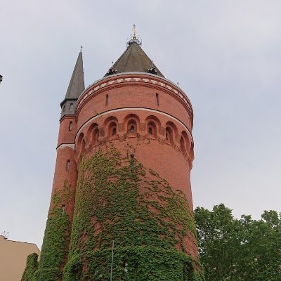 TowersAnimator's profile picture. 2D Illustrator and Animator available for freelance work website in bio ⤵️