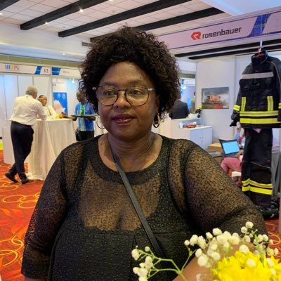 BDibate's profile picture. Director: Aviation Professionals Africa Plate-Forme