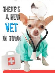 Our goal is to ensure the complete satisfaction of our clients, while providing an advanced facility and medical team available to care for your furry friend.