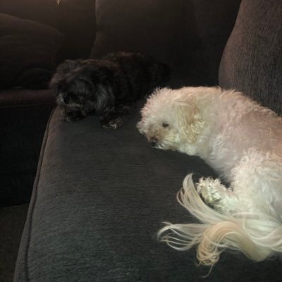 arosebloom's profile picture. Mother, Friend, Living my best life