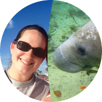 Athena Rycyk (@profrycyk) 's Twitter Profile