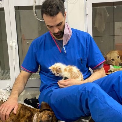 Veterinario
Soy lo mas ambiguo y bipolar que van a conocer
Me dicen Doctor Lolo 🤔
https://t.co/tgmLTkuuRB