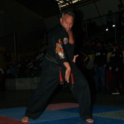 40 años de trayectoria en las artes marciales cinturon negro 7to dan en kenpo karate presidente de la fundacion g.okenpo