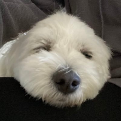 wello_breeze's profile picture. カムカムからストチューブを観まくり生まれて初めてFCに入った大人スト担です。大人スト担さんを見つけたらフォローさせて頂きます。🙇‍♀️ 宜しくお願いします！