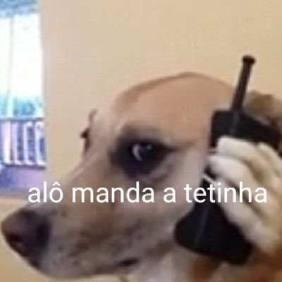 Aiuo1919's profile picture. perdido por ai