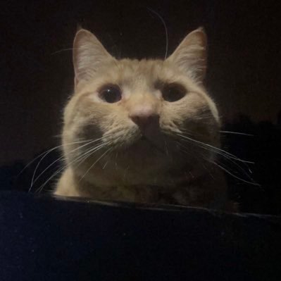 bruyceWayne's profile picture. Road to a milly