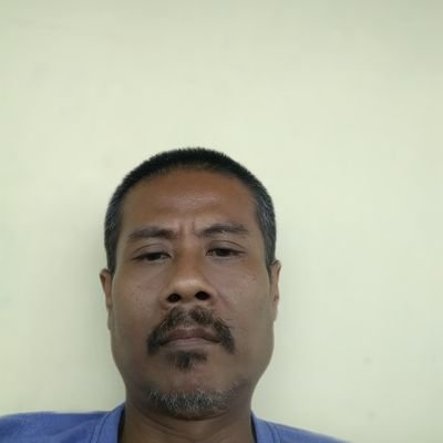 TurfantoroS's profile picture. Gogon135