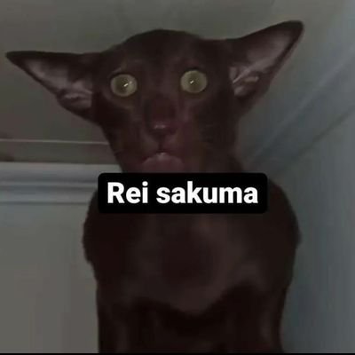 alinqqさんのプロフィール画像