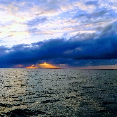 Microbial Oceanography / Microbial Ecology
微生物海洋学/微生物生態学
🚲