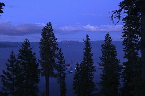 tedescolaw's profile picture. 