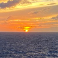 Paul Anderson (@paulandrrson) 's Twitter Profile Photo