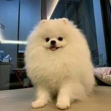 ElsieShina's profile picture. 상대가 큰 산이라면 너는 반드시 바다가 되어야 한다