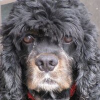 Jumo (@jumo213a) 's Twitter Profile Photo