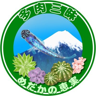 富士山の見える片田舎でメダカと多肉植物を育ててます。メダカ界隈の方々と仲良くしたいので、ご迷惑でなければ宜しくお願いします！聞いてないかもしれませんが、多肉三昧は♂になります。たまに「ヤフオク」「JAグリーンプラザ伊豆の国」に出品中