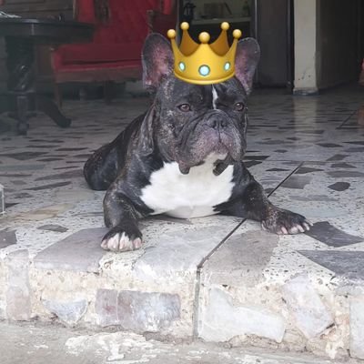 IvanJTG's profile picture. ... Pienso, luego ... Olvido tuitearlo~