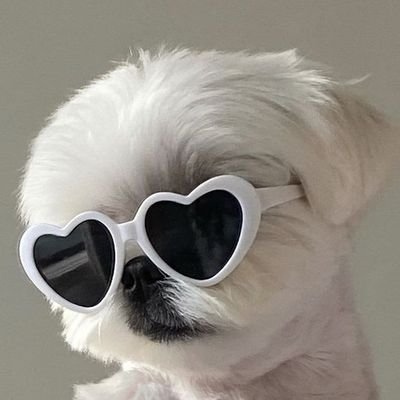 ncskye_'s profile picture. ₍ᐢ•ﻌ•ᐢ₎*･ﾟ｡