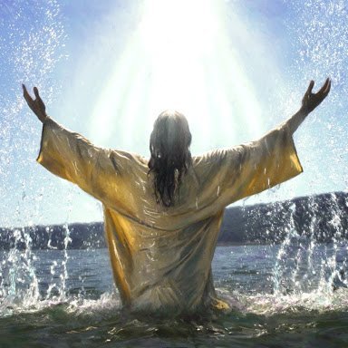 freckledbirdy's profile picture. 