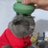 浅瀬アツシのアイコン