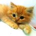 Indra Jit (@indraji32792613) Twitter profile photo Indra Jit (@indraji32792613) Twitter profile photo