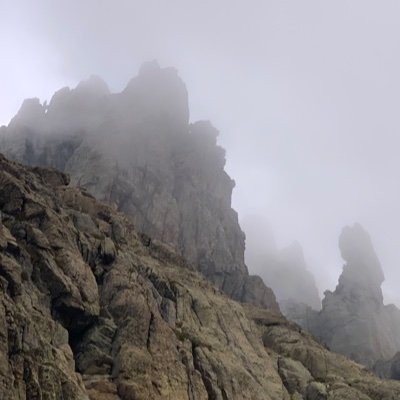 thomas_ottavi's profile picture. 