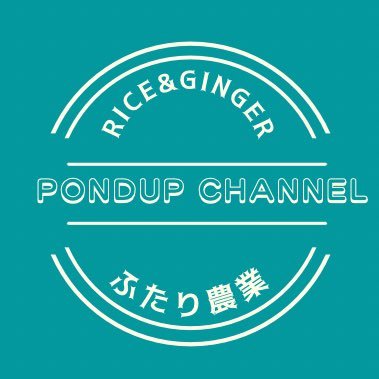 茨城県で夫婦2人で農業をしてます。 農業を始めてはや15年。 米と生姜を栽培。 YouTubeも是非見て下さい。https://t.co/xnNxhiByriメルカリでお米販売中！ポンドアップ 米で検索🔍招待コードCHYJGF