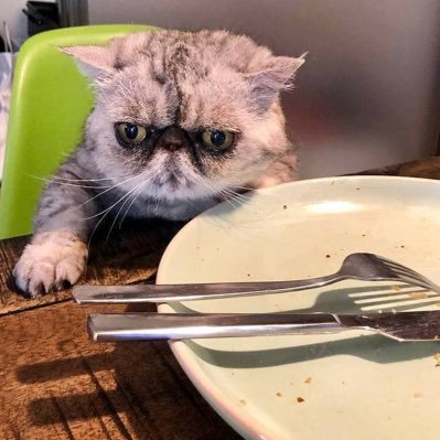 nukokaiFX's profile picture. 