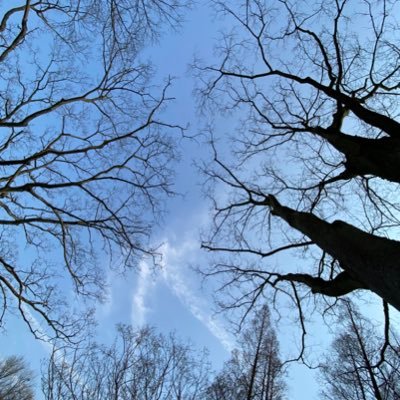 Rock_little2022's profile picture. 