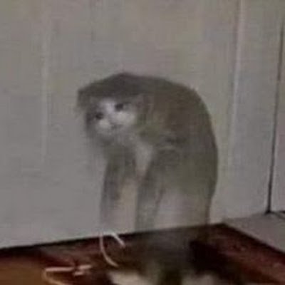 19EmilyPhmBoNg1's profile picture. 