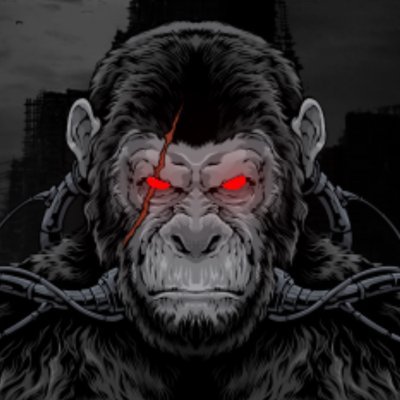Dark Monkey Music
RTTWLR & Patrick Slayer

TRIPPY CODE RECORDS