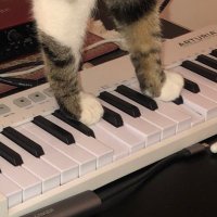 tadi (@____tadi) 's Twitter Profile